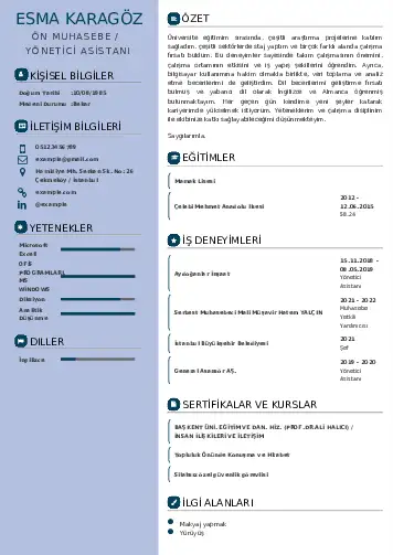Yönetici Asistanı Cv Örnekleri cv indir